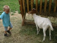 Kind mit Ziege